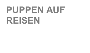 PUPPEN AUF REISEN